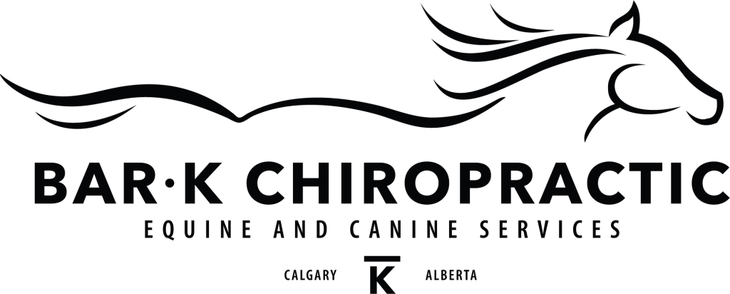 Bar K_primary horizontal logo_black